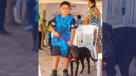 Ofrece Alcalde Carlos Peña Ortiz servicio CURMA de Chips para identidad de mascotas