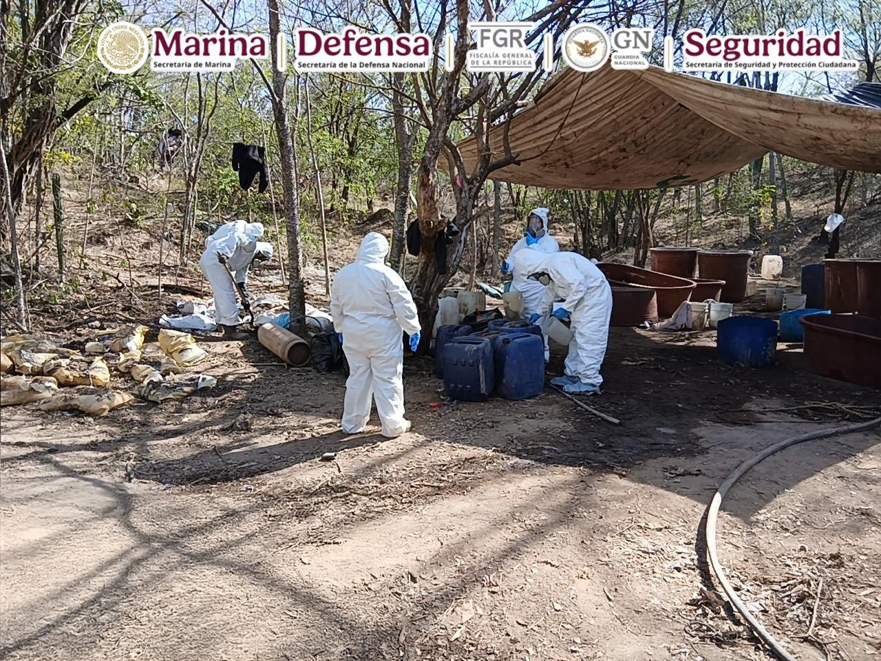 Aseguran y desmantelan laboratorios clandestinos de drogas sintéticas en Durango, Sinaloa y Michoacán
