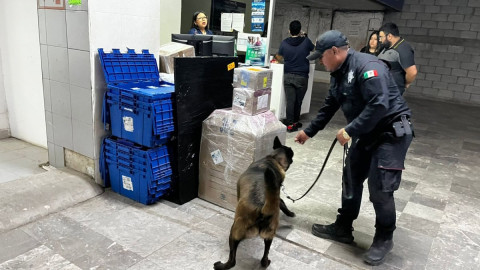 Realiza Agrupamiento Canino de la Guardia Estatal operativo para detectar narcóticos en Central de Autobuses