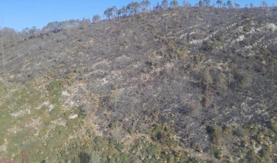 Incendio forestal “Puerto del Volcán”, en Miquihuana es liquidado al 100 %