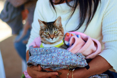 Avanza Reynosa con Clave Única de Registro de Mascotas, Chip CURMA