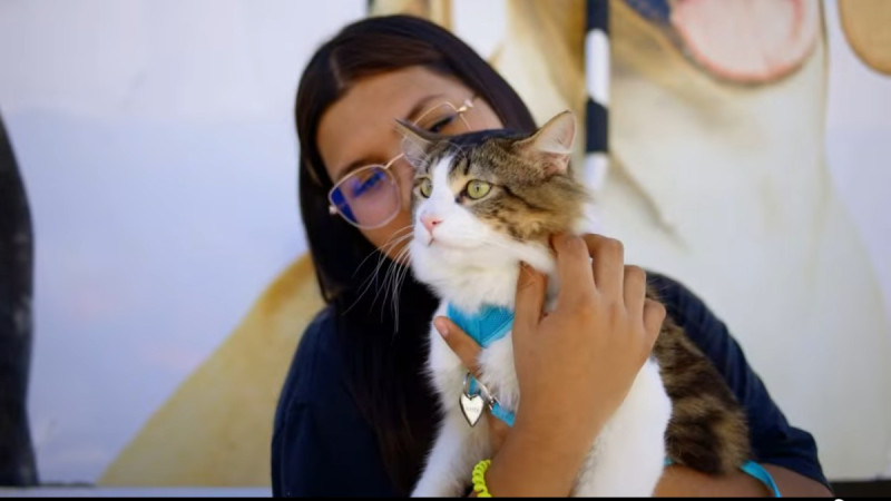 Brigada Médica “Patitas Seguras” llega a la colonia San Valentín