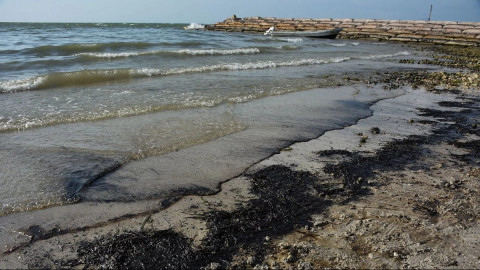 Derrame de crudo en el Golfo de México podría alcanzar costas de Tamaulipas: SEDUMA