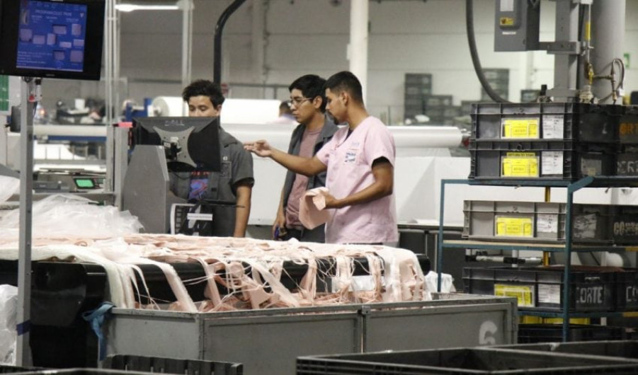 Gobierno del Estado y STPS activan atención inmediata ante situación laboral en empresa TRICO Componentes