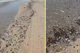 Reportan llegada de hidrocarburos a costas de Tamaulipas; activan protocolos de atención