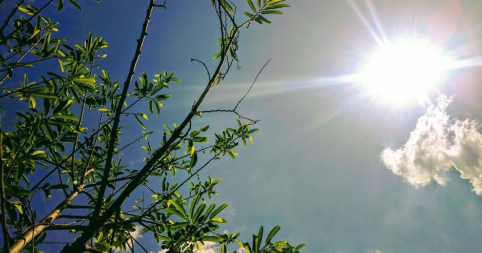¿Calor? Conoce el clima de este lunes en Tamaulipas