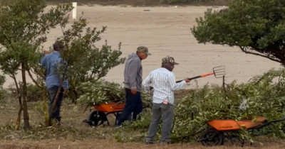 Conibio Global A.C. denuncia tala de manglar en Matamoros