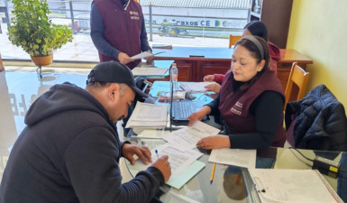 Paga Agricultura más de mil 800 mdp a productores de maíz blanco y amarillo