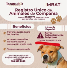 Tecate lanza registro gratuito de mascotas; licencia especial para perros potencialmente peligrosos costará 117 pesos