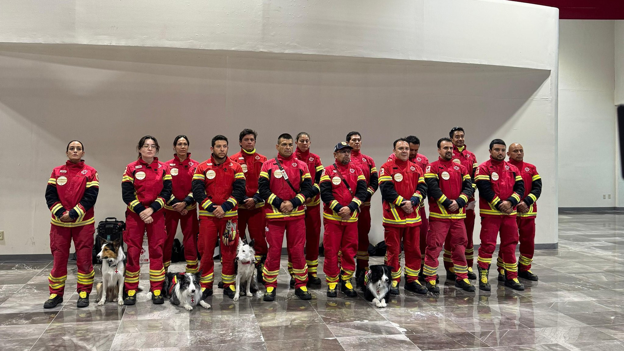 ¡Patitas al rescate! Cruz Roja envía binomios caninos a Venezuela