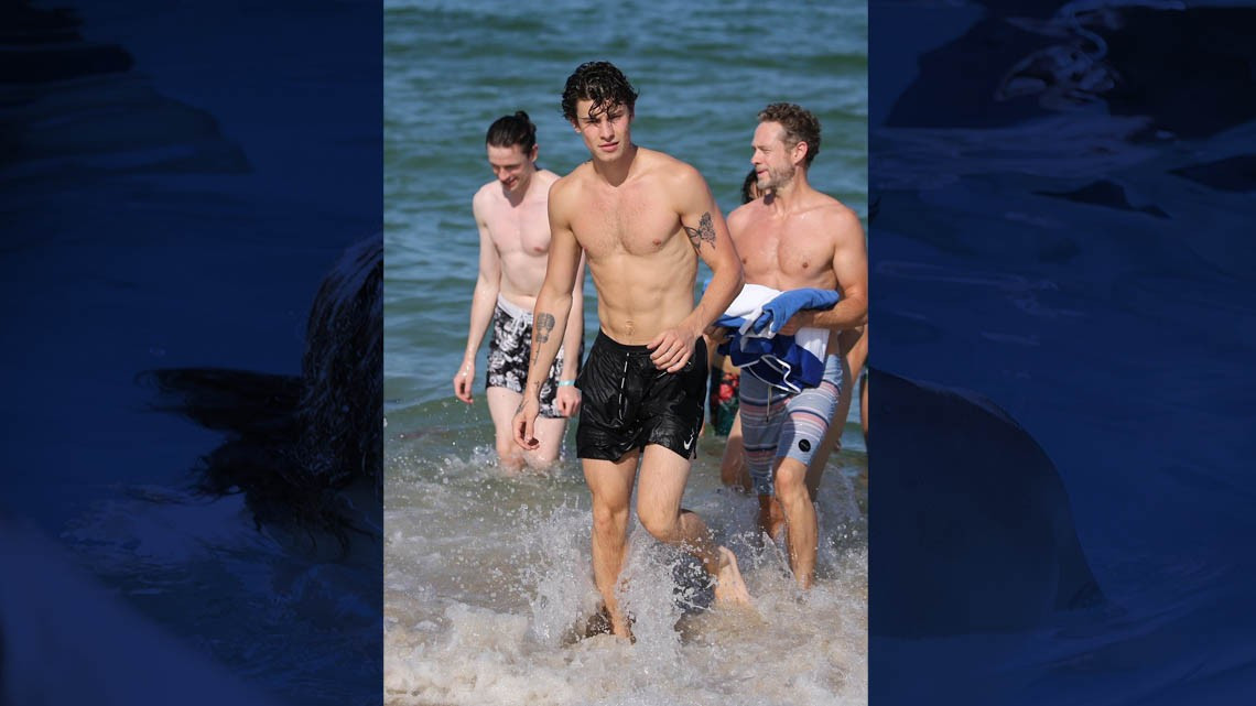 Shawn Mendes y Camila Cabello muy acaramelados en Miami