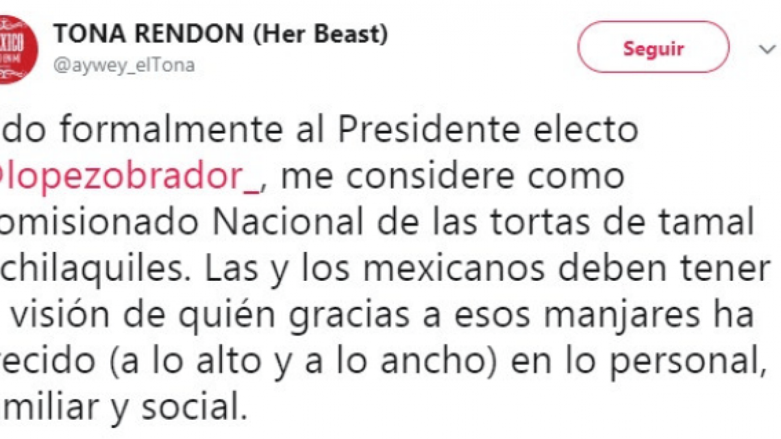 Carmen Campuzano: "#PidoFormalmenteAlPresidenteElecto"