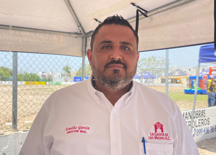 "Casa de los Michis" pide ayuda para gatos rescatados en Reynosa