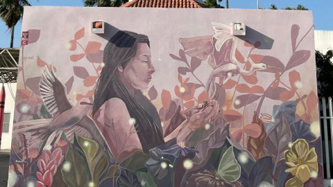 Crearán ruta de murales en Reynosa