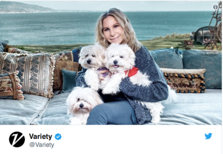 Barbra Streisand clonó dos veces a su perrita