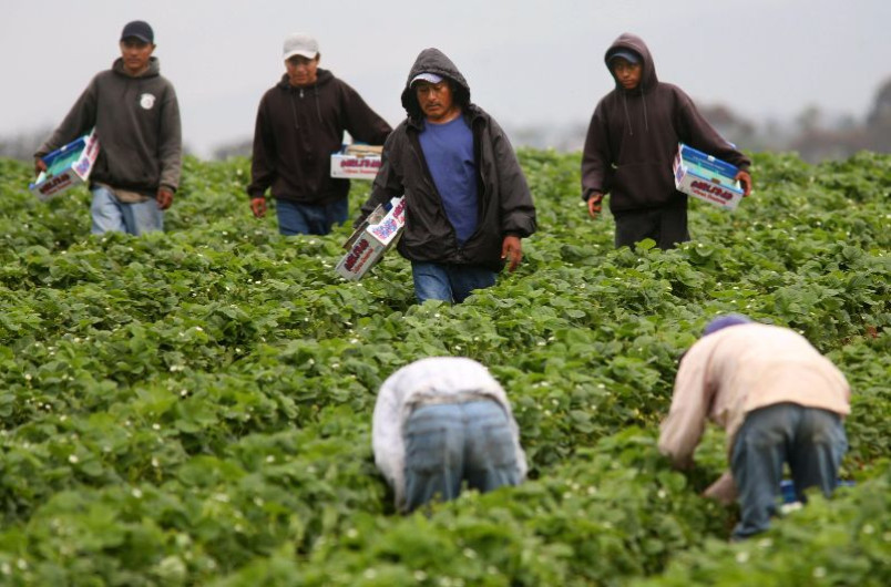 Mexicanos en EU viven ahora con incertidumbre