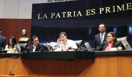 Senado avala en lo general la reforma contra el nepotismo electoral y la no reelección