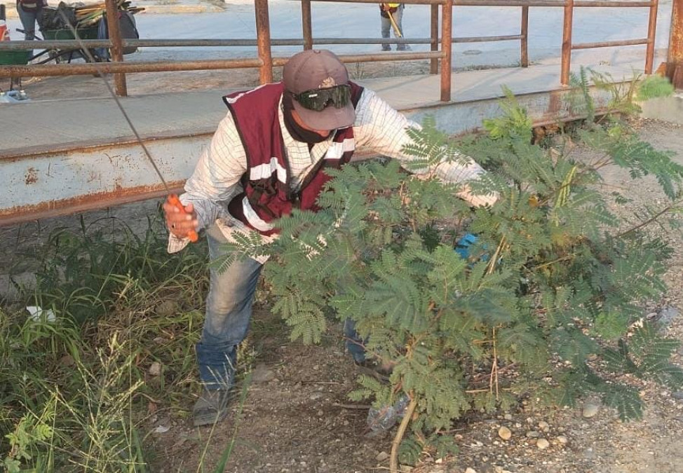 Trabaja Gobierno de Carlos Peña Ortiz en área suburbana