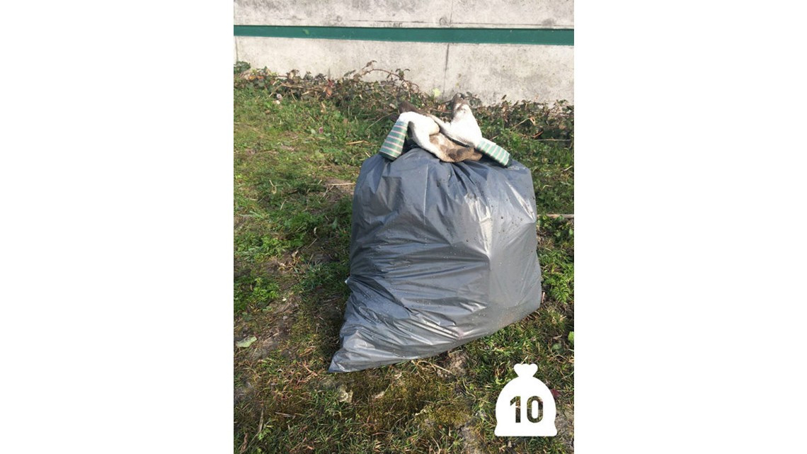 Limpia Río Schie, ¡y se vuelve viral!