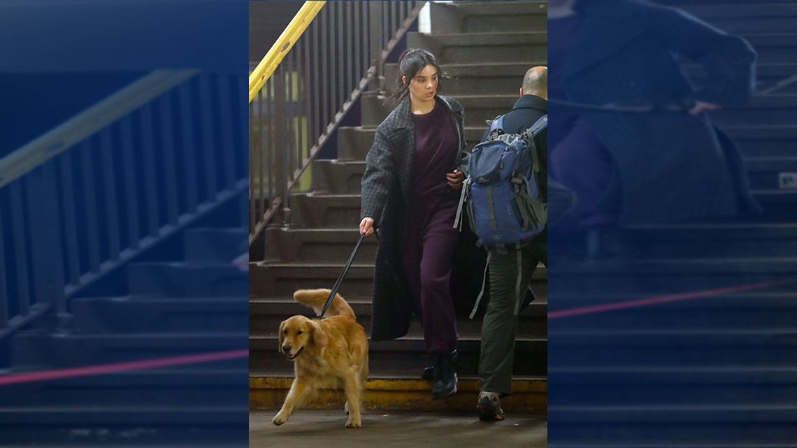 ¡Confirmado! Hailee Steinfeld aparecerá como Kate Bishop en “Hawkeye” 