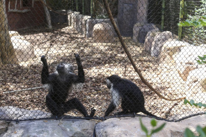 Zoo Gladys Porter anuncia nuevos horarios