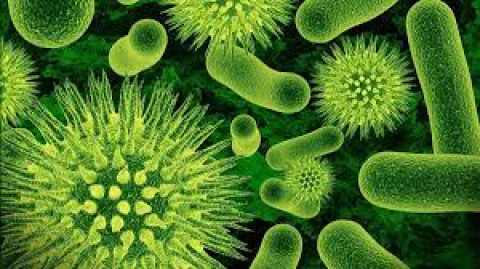 Automedicación fortalece "súper bacterias"