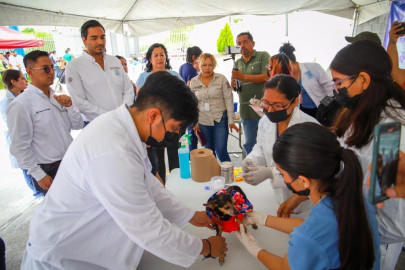 Aplican universitarios reynosenses cuidados bien perros a mascotas