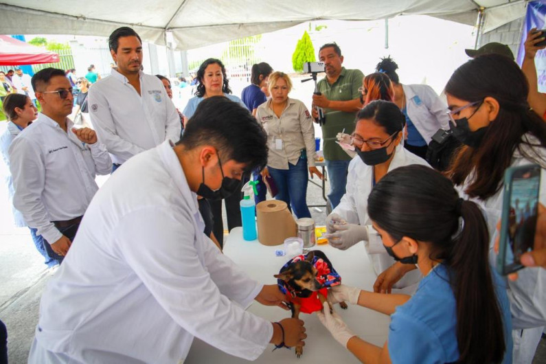 Aplican universitarios reynosenses cuidados bien perros a mascotas