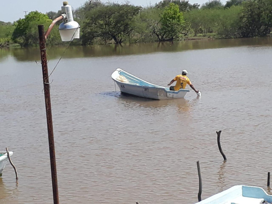 Cuerpos de agua dulce, salubre y salada se recuperan, mejorando la economía de sector rural