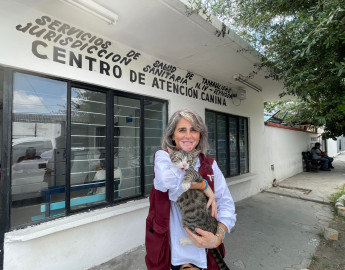 Aumenta presencia de pulgas y garrapatas con el calor