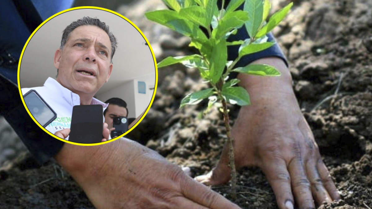 Anuncia Eugenio Hernández plan de reforestación en Tamaulipas