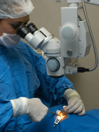 IMSS realiza 488 cirugías a niños y adultos en una semana en Edomex