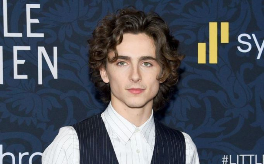 Interpretará  Timothée Chalamet  a "Willy Wonka" en un musical 
