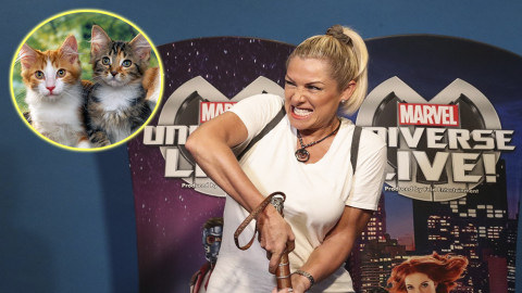 Tunden en redes sociales a Leticia Calderón por comentarios sobre gatos 