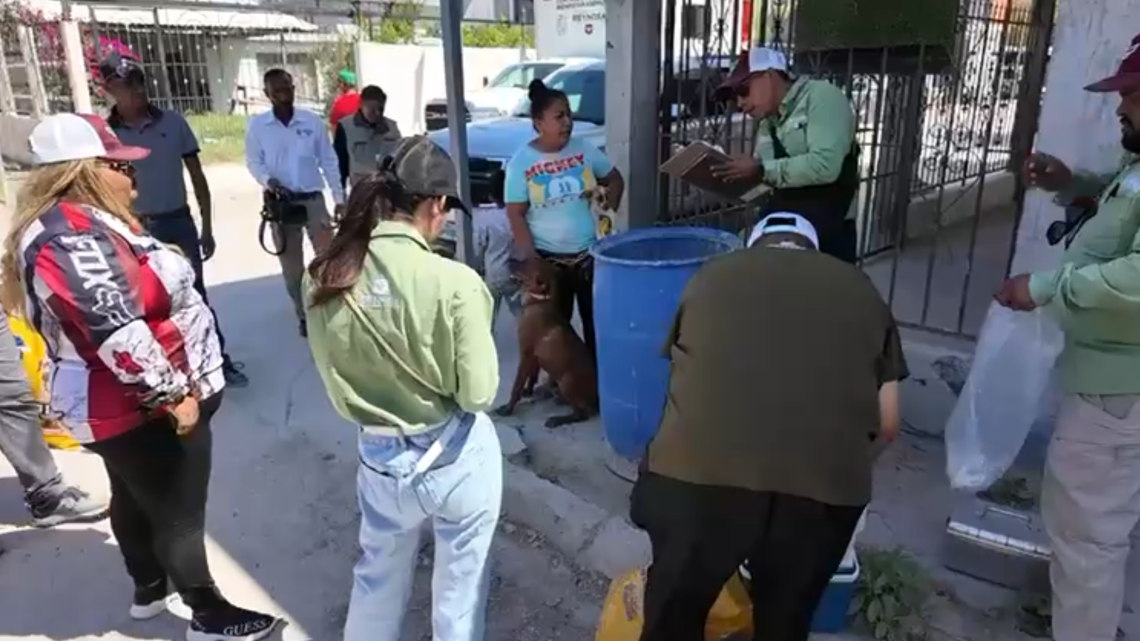 Atiende Gobierno Municipal a mascotas afectadas por la emergencia en Reynosa 