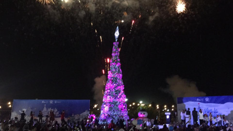 Viven familias maderenses la Navidad con encendidos del pino
