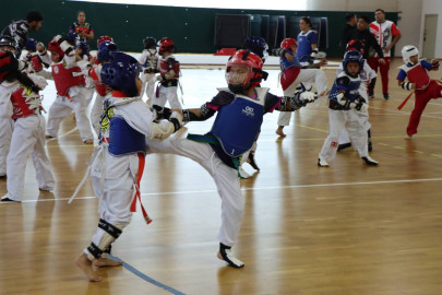 Invita Gobierno de Reynosa a formar parte del equipo de Karate del IMD