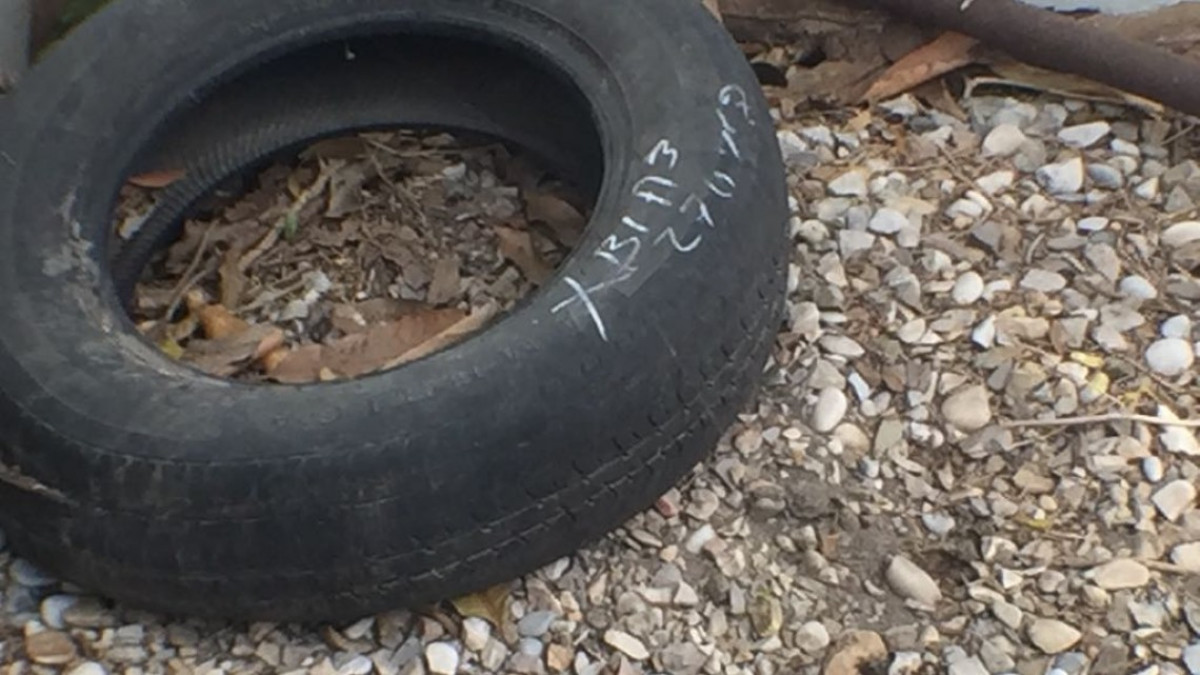 Aplican programa de fumigación contra dengue