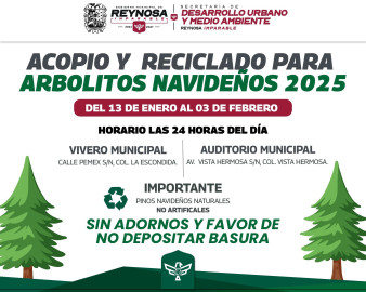 ¡No tires tu pino, el Gobierno de Reynosa lo recicla!