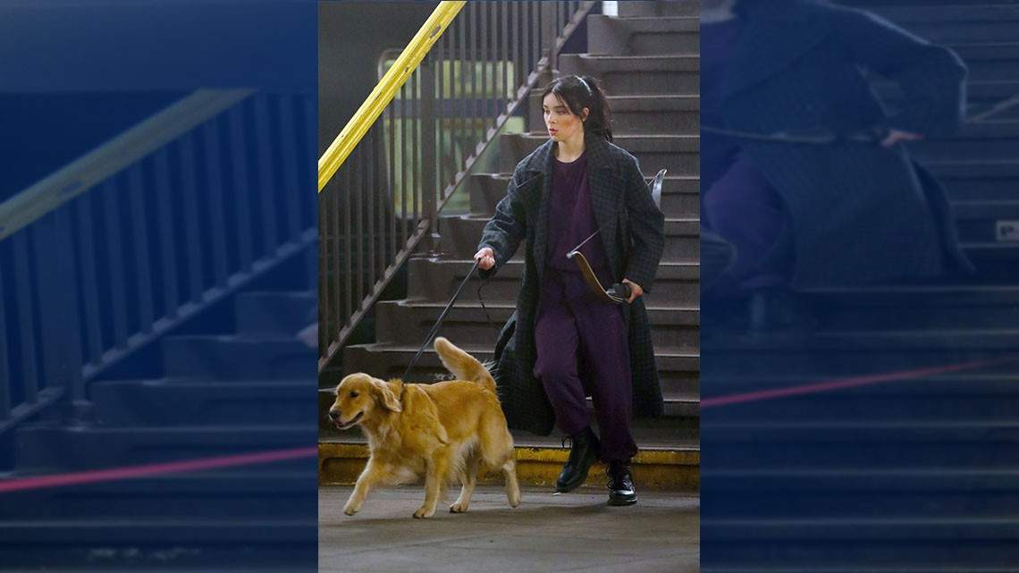 ¡Confirmado! Hailee Steinfeld aparecerá como Kate Bishop en “Hawkeye” 