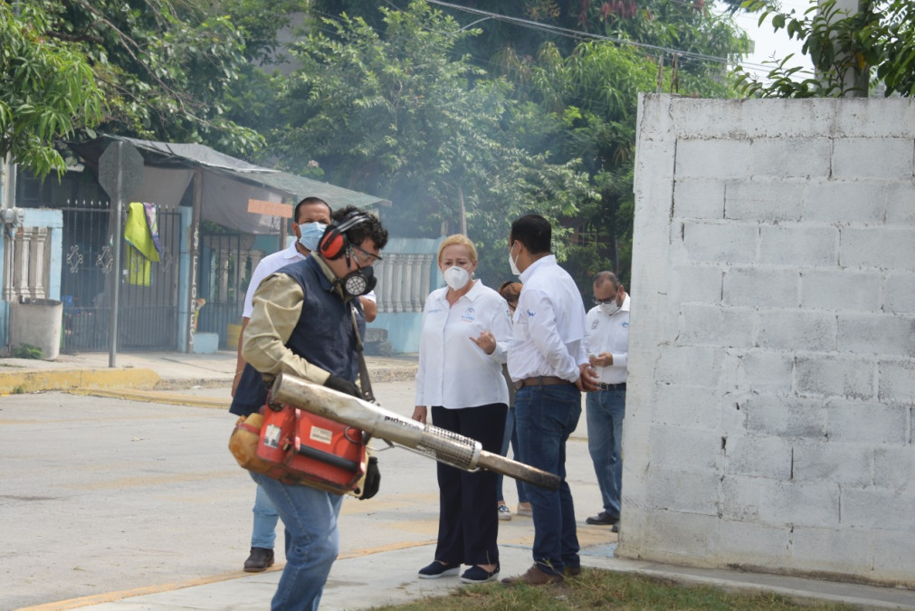 Intensifican esfuerzos Gobierno de Altamira y Secretaría de Salud para evitar proliferación de mosquitos