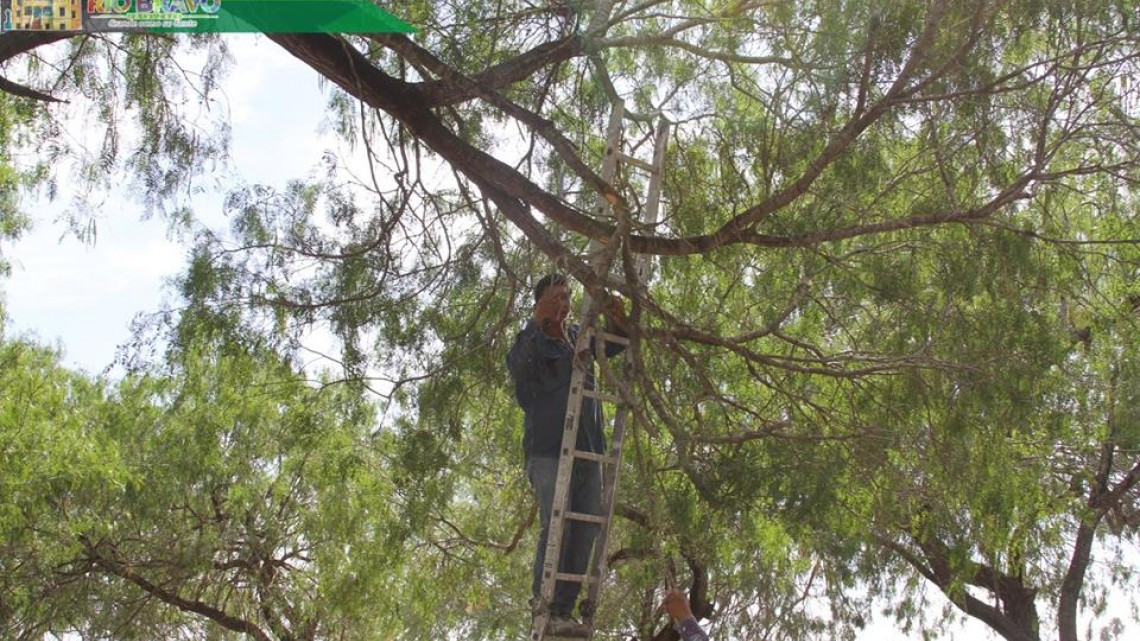 Dan mantenimiento a parque en colonia Hijos de Ejidatarios