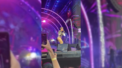 Un fan lanza las cenizas de su madre a la cantante Pink en pleno concierto