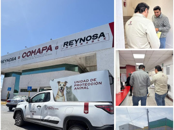 Empleado de COMAPA atropella a lomito en Col. Longoria; autoridades imponen multa 