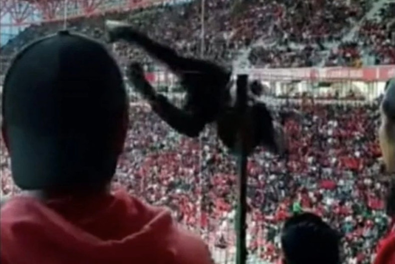 Cae aficionado de las gradas del Nemesio Diez