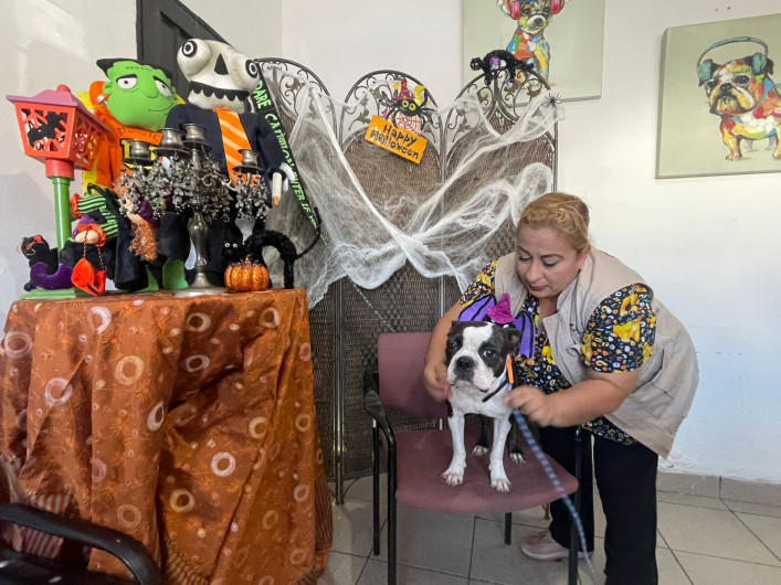 Concurso de disfraces promueve vacunación para mascotas