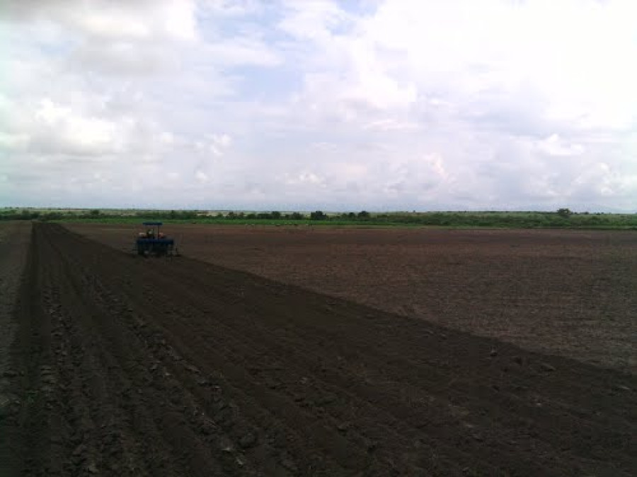 Por clima aún no se siembre en municipio