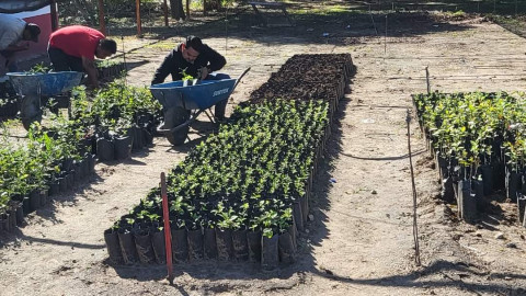 Respaldan políticas ambientales del Alcalde Carlos Peña Ortiz