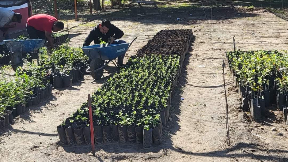 Respaldan políticas ambientales del Alcalde Carlos Peña Ortiz