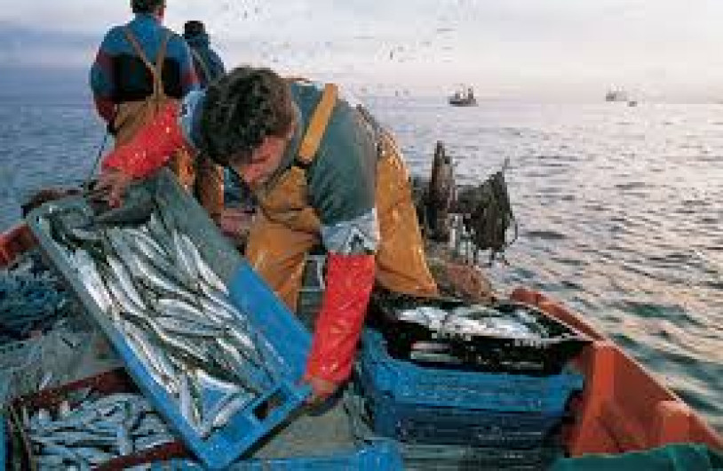 Los sectores de pesca y agrícola tendrán apoyo en combustibles